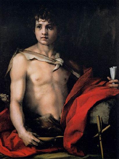 Andrea del Sarto St John the Baptist Sweden oil painting art